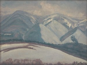 Besneeuwde bergen